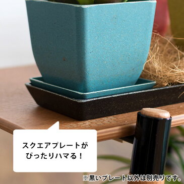 植木鉢用 受け皿 エコプレート 鉢皿 長方形 底面 約24.5cm×7.5cm 選べる4色 [98706]【 ソーサー 浅皿 ポットソーサー 四角形 ガーデニング 園芸 花 観葉植物 ベランダ おしゃれ 】