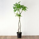 【7/15限定P5倍】 パキラ フェイクグリーン 高さ120cm 造花 観葉植物 フェイク アーティフィシャルプランツ グリーン ボタニカル インテリア パキラ...