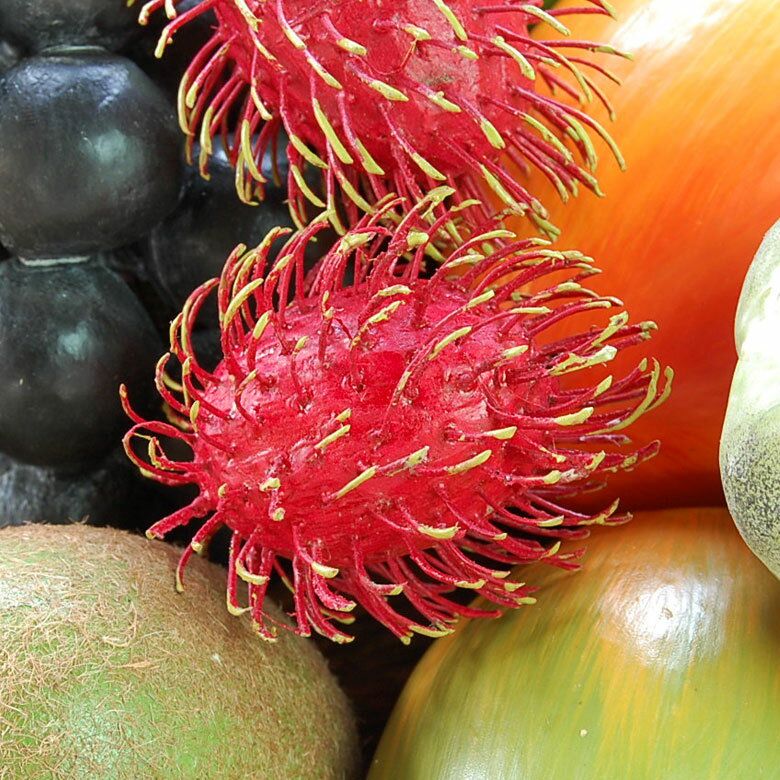 木彫りのアジアンフルーツ ランブータン 本物そっくりバリ島のフルーツ 果物 果実 インテリア置物 アジアン置き物 木彫りのフルーツ 木製オブジェ カラフル フルーツオブジェ 飾り バリ 雑貨 アジアン雑貨 [10538]のサムネイル