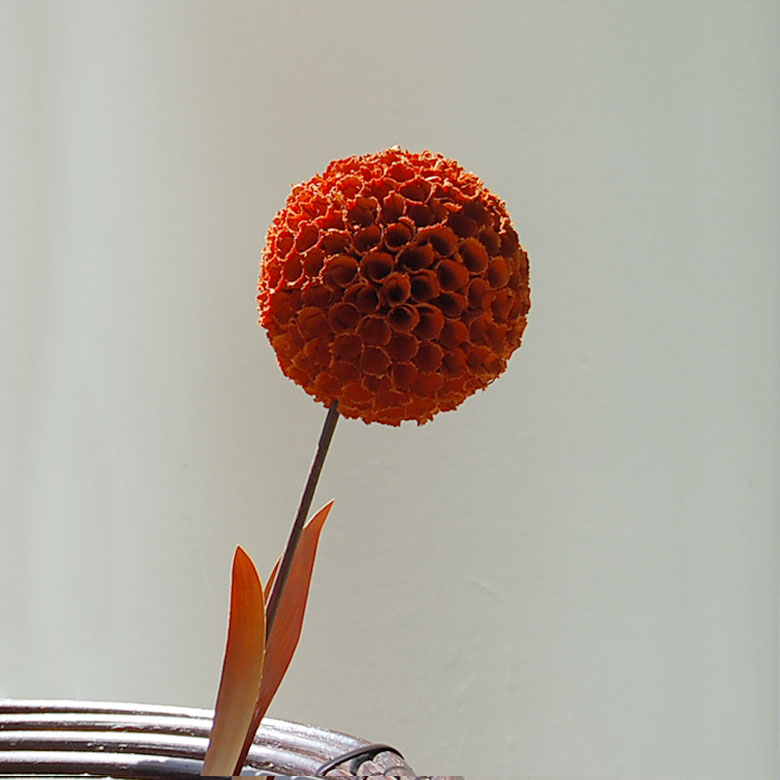ヤシの葉でできた アジアン ボール