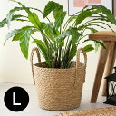 プランターカバー 植木鉢カバー バスケット 持ち手付き ラッシュ製 い草 Lサイズ 約 W 29 × D 29 × H 24 cm 鉢カバー 8号 9号 プランター入れ カバー ポット プランツバスケット かご 籠 観葉植物 北欧 おしゃれ 