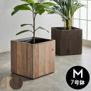 【10号鉢用】鉢カバー☆【ラスターポット】観葉植物とセット購入の特別価格！