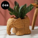 【マラソン期間限定!最大800円オフクーポン!】 プランターカバー 象 象さん 籐 ラタン 6号鉢 約 W 38cm D 25cm H 26cm ナチュラル 鉢...