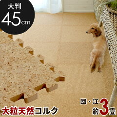 https://thumbnail.image.rakuten.co.jp/@0_mall/asia-kobo/cabinet/item100/cncm-45-024p.jpg