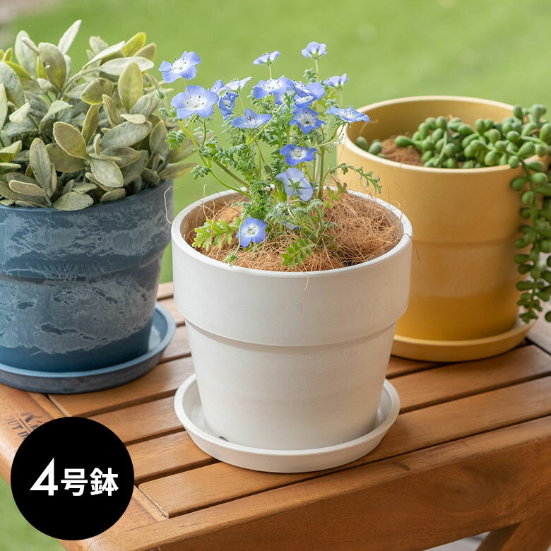 植木鉢 プランツポット 4号鉢 プラスチック 無地 受け皿付き プランター 直径13.5cm 4号 鉢カバー プランターカバー ガーデニング 園芸 花 観葉植物 ベランダ おしゃれ ブラック アイボリー ホ…