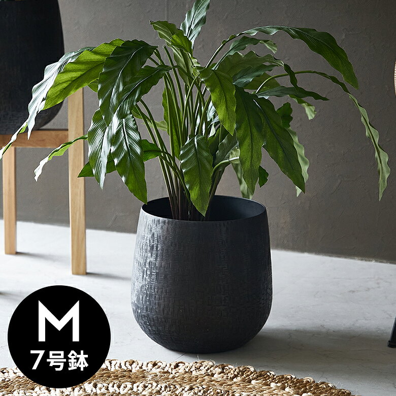 楽天市場】鉢カバー（素材（ガーデニング・DIY用品）アルミ）の通販