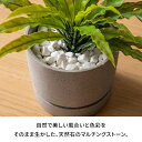 asia-kobo:10024528のサンプル画像2