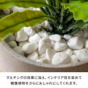 asia-kobo:10024528のサンプル画像3