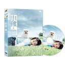 台湾ドラマ/小孩・狗 Lost And Found (DVD) 台湾盤