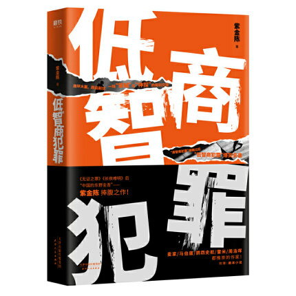 小説/ 低智商犯罪 中国版　紫金陳