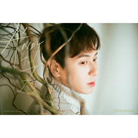 ◇SALE◇【メール便送料無料】アンディ(神話)/ A 039 NDY TO Z ソノ:ハダ -Single Album ＜AFTERNOON Ver.＞ (CD) 韓国盤 SHINHWA シンファ ANDY アフタヌーン