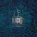 BLACK6IX/ NICE TO MEET YOU -2nd Mini Album (CD) ؍ BLACK 6IX ubNVbNX BLACK SIX iCXEgD[E~[gE[