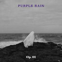 【メール便送料無料】PURPLE RAIN/ 作品番号1番(Op. 01) -1st EP (CD) 韓国盤 パープル レイン