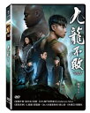 香港映画/ 九龍不敗(DVD) 台湾盤 Invincible Dragon