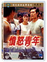 香港映画/ 憤怒青年 1973年 （DVD) 台湾盤 The Delinquent