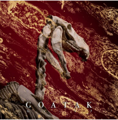 【メール便送料無料】王謙 Goatak/ 王謙病 GV-17 (CD) 台湾盤　Wang Qian