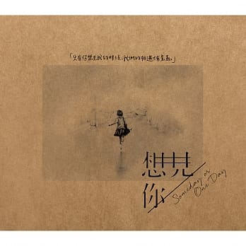 【メール便送料無料】台湾ドラマOST/ 想見你（時をかける愛）＜通常版＞ (2CD) 台湾盤 someday or one day　想…