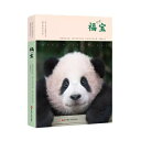福寶:淘氣包大熊貓寶寶福寶的成長記録 中国版 福宝 フーバオ 淘気包大熊猫宝宝福宝的成長記録 パンダ PANDA 写真集 フォトエッセイ 中国書籍