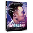台湾映画/ 我的靈魂是愛做的(DVD) 台湾盤 The Teacher LGBT映画