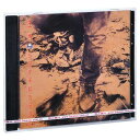 【メール便送料無料】王傑/ 忘記你不如忘記自己 (CD) 中国盤 デイブ・ウォン Dave Wang