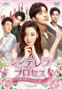中国ドラマ/シンデレラ・プロセス〜私を輝かせる恋と夢〜-第1話〜第14話-(DVD-SET1)日本盤 我的漂亮朋友 Young and Beautiful
