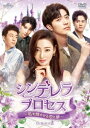中国ドラマ/シンデレラ・プロセス〜私を輝かせる恋と夢〜-第15話〜第28話-(DVD-SET2)日本盤 我的漂亮朋友 Young and Beautiful