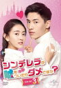 中国ドラマ/ シンデレラが嘘をついたらダメですか?-第21話〜第31話(完)-(DVD-BOX 3)日本盤 不説謊恋人