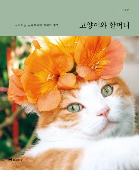 エッセイ/猫とおばあちゃん 韓国版 チョン・ヒョンジュン　韓国書籍
