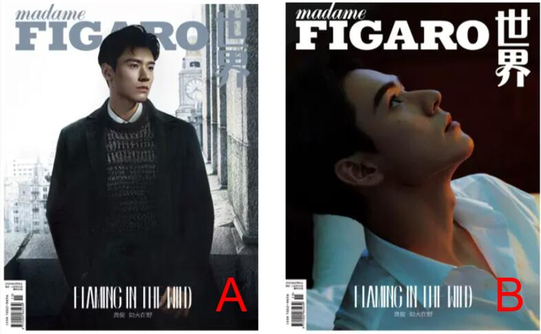 【メール便送料無料】雑誌/ Madame FIGARO 費加羅世界雜志 2023年8月 中国版　龔俊（ゴン・ジュン）：表紙2種類ランダム発送！記事掲載！ マダムフィガロ　中国雑誌