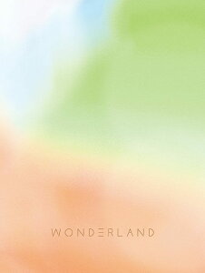 ワンダーランド作品集:MOVIE ARTBOOK 韓国版 キム・テヨン キム・ デシク 韓国書籍