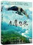台湾映画/ 老鷹想飛 (DVD) 台湾盤　Fly, Kite Fly