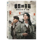 台湾ドラマ/ 憤怒的菩薩 -全4話- (DVD-BOX) 台湾盤　Bodhisattva in Storm　怒りの菩薩