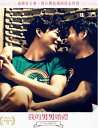 韓国映画/キムジョ・グァンス&キム・スンファンの結婚遠征記(DVD) 台湾盤 MY FAIR WEDDING