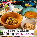 スパイスカレー 【本格インド料理 お試し2種セット (ベジカレー&ライス)】1,000円ポッキリ レトルト