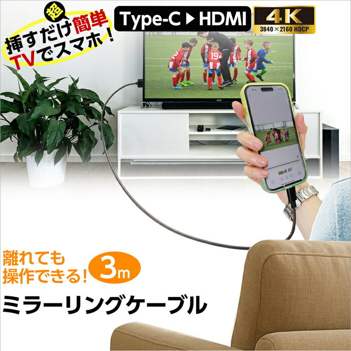 ★ポイント10倍 11/30 23:59迄★HDMI to Type-C 変換ケーブル 3m 4K 60Hz対応 ミラーリングケーブル USB-C ディスプレイケーブル 音声映像同期 ノートPC Nintendo Switch PS5対応 ポータブルモニター 接続用 画面拡張 複製 大画面 ロングケーブル 人気 おすすめ