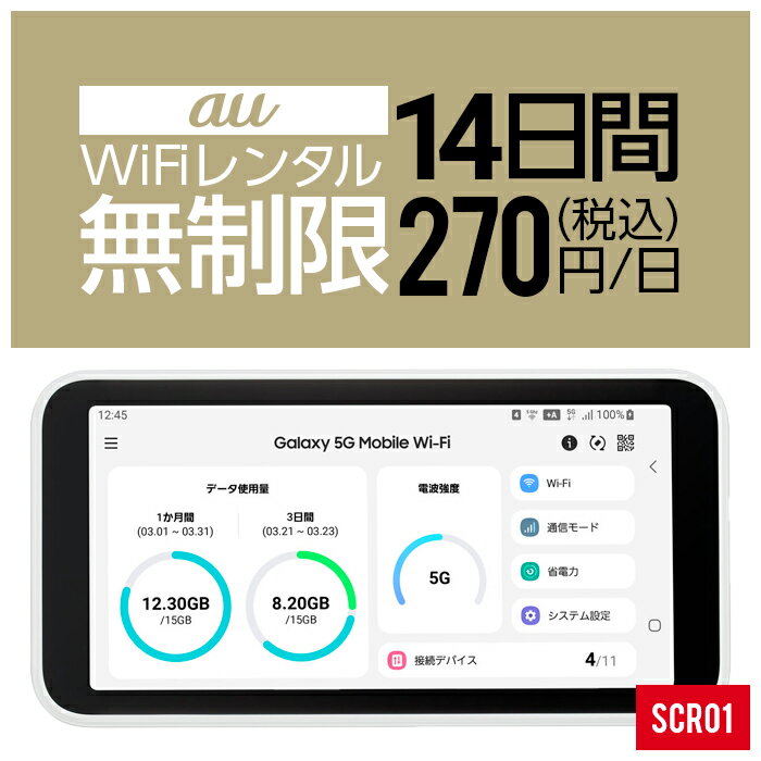 【レンタル】 wifi レンタル 無制限 14日 2週間 二