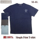 Tシャツ メンズ 半袖 アメカジ ワンポイント シンプルプリント 薄手 M L LL 3L 4L 大寸