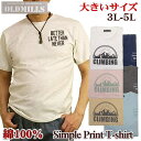 Tシャツ メンズ 半袖 大寸 大きいサイズ キングサイズ ワンポイント アウトドア アメカジ シンプルプリント 薄手 3L 4L 5L