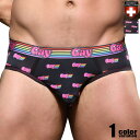 メンズビキニ ブリーフ AndrewChristian/アンドリュークリスチャン Gay Pride Brief w/ Almost Naked オルモストネイキッド モッコリ 立体縫製メンズビキニ ビキニブリーフ 男性下着 メンズ パンツ