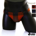 メンズビキニ【Gravevault/グレイブボールト】Buffalo check Bikini メンズビキニ パンツ 男性下着 アンダーウェア
