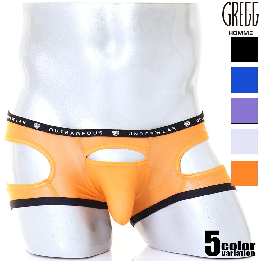 ボクサーパンツ メンズ GreggHomme/グレッグ・オム GAMER BOXER BRIEF 切込み カット モッコリ シースルー 透け ボクサーパンツ　男性下着　メンズ　パンツ