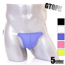メンズビキニ ブリーフ GTOPX/ジーティーオーピーエックス 男性下着 メンズ パンツ セクシー 柔らかい デイリーインナー スケスケ 透け 薄手