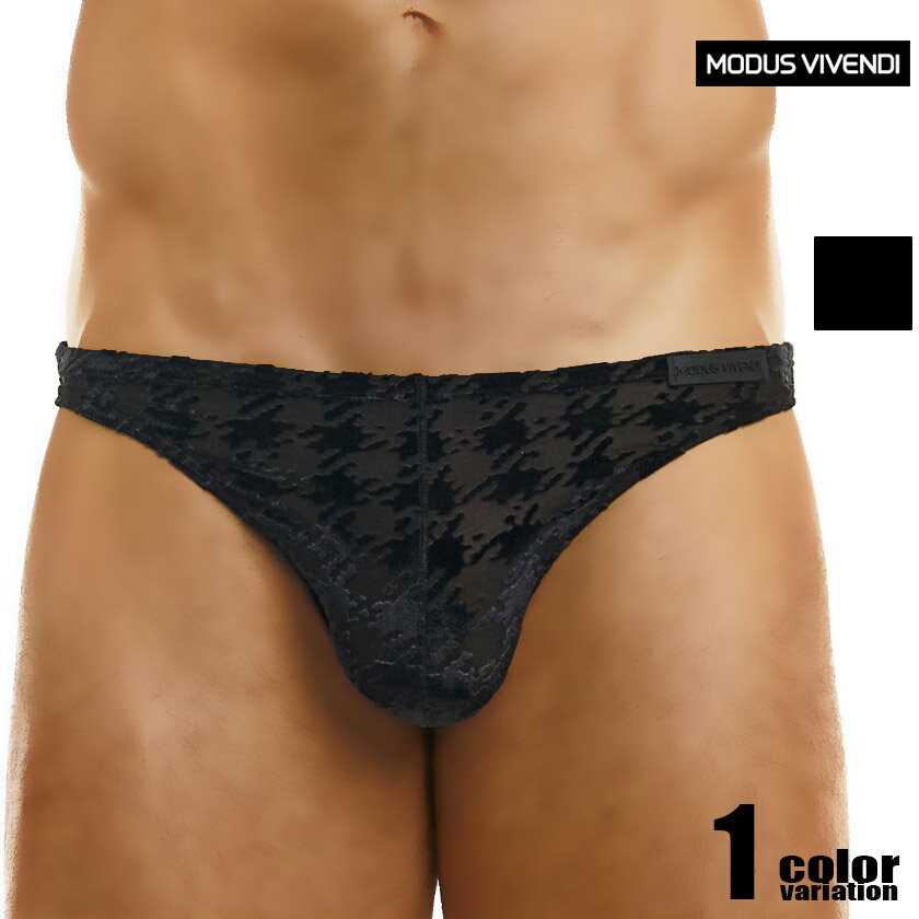 メンズビキニ ブリーフ ModusVivendi/モダス ビベンディ Pied De Poule Low Cut Brief ローライズ 柄 シースルー フルバック ビキニブリーフ 男性下着 メンズ パンツ セクシー