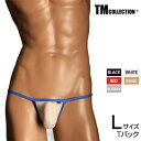 Lサイズ メンズTバック TMコレクション STRIKESKIN カップぷっくり TB Tバック メンズ 下着 パンツ アンダーウェア TM Collection 男性下着 セクシー(4)