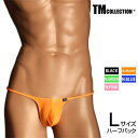 Lサイズ メンズビキニ TMコレクション Clearskin もっこりシャープ HB highrise ビキニ メンズ 下着 パンツ アンダーウェア TM Co...