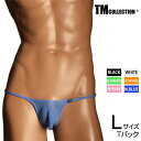 Lサイズ メンズTバック TMコレクション ClearSkin Sexy Cut TB メンズ Tバック 下着 パンツ アンダーウェア TM Collectio...