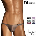 Lサイズ メンズビキニ TMコレクション Clearskin 股下細め HB DARK メンズ ビキニ 下着 パンツ アンダーウェア TM Collection