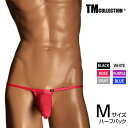 Mサイズ メンズビキニ TMコレクション Clearskin micro trim big bulge HB NINE メンズ ビキニ 下着 パンツ アンダーウ...