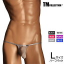 Lサイズ メンズビキニ TMコレクション Clearskin micro trim big bulge HB NINE Lsize メンズ ビキニ 下着 パンツ...