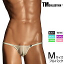 Mサイズ ☆NEW 限定カラー☆ メンズビキニ TMコレクション Clearskin 極小もっこり Style FB メンズ ビキニ 下着 パンツ アンダーウェ...